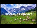 Стих "Любимая овечка"