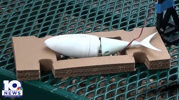 UVA Engineering team testing robotic fish