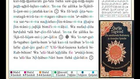 ختمة من مصحف التجويد باللغة الألمانية الصفحة رقم 249
