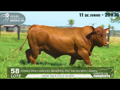 LOTE 58 CONQ 943