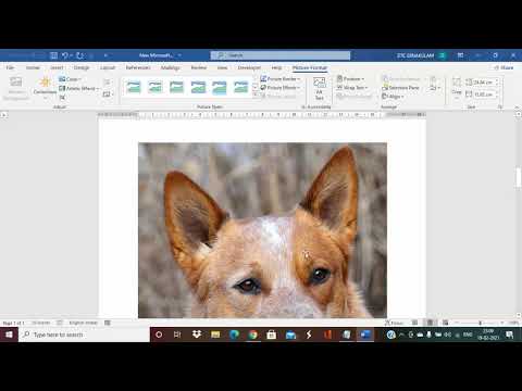 How to resize multiple images at once in Microsoft Word?