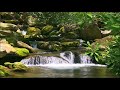 Al Afasy - Al Baqarah (with relaxing nature sounds)العفاسي-سورة البقرة-وصوت الطبيعة