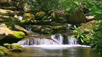 Al Afasy - Al Baqarah (with relaxing nature sounds)العفاسي-سورة البقرة-وصوت الطبيعة