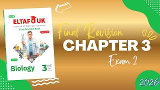 Final revision | ElTAFOUK BOOKLET - Questions bank and Practice exams | Chapter 3 | Exam on lesson 2