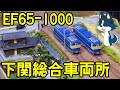 [西日本のEF65最新事情] KATOから発売されたEF65下関総合車両所仕様を見てみた