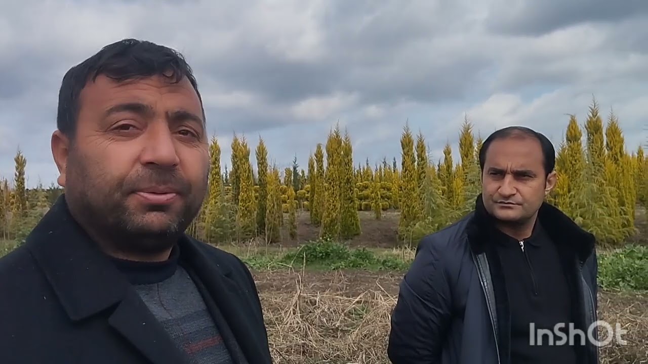 Asiman Ələsgərovun adına ehsan bağına ağaclar alındı