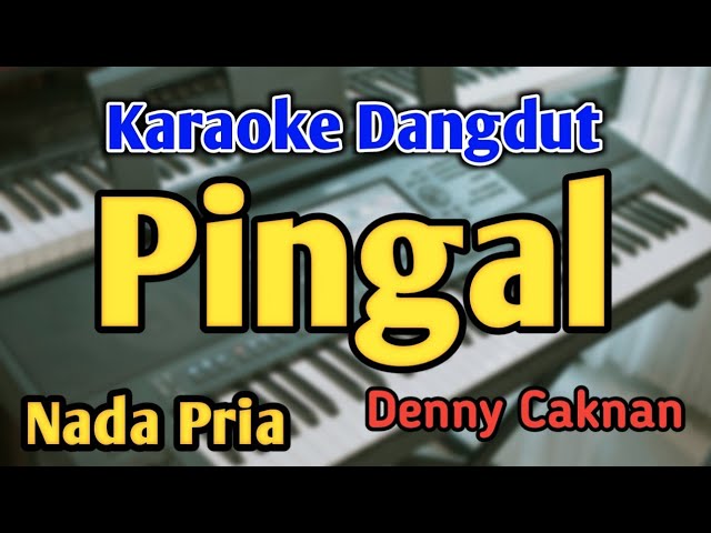PINGAL - KARAOKE || NADA PRIA COWOK || Denny Caknan || Audio HQ || Live Keyboard class=