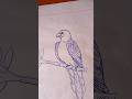 Parrot drawing /How to draw parrot step by step drawing / Bird drawing .#viral #art #drawing
