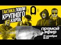 ТАКТИКА ЛОВЛИ КРУПНОГО КАРПА НА ДИКОМ ВОДОЕМЕ. ПРИКОРМКА И ПОВЕДЕНИЕ РЫБЫ!