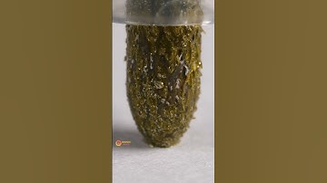 Active a new marker extreme close-up #macro #asmr #satisfying