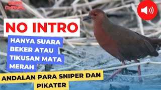 Suara Pikat Tikusan Mata merah atau beker ampuh ...