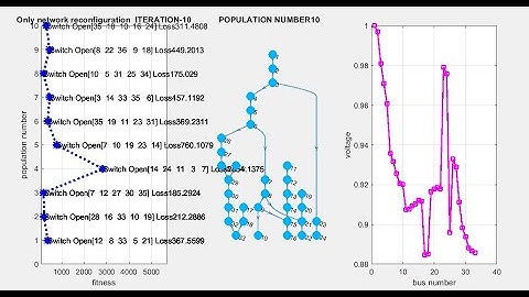 Bald eagle search optimization algorithm  based reconfiguration