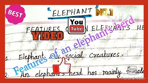 Elephant/Features of an elephant