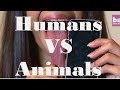 FUNNY - Humans vs Animals