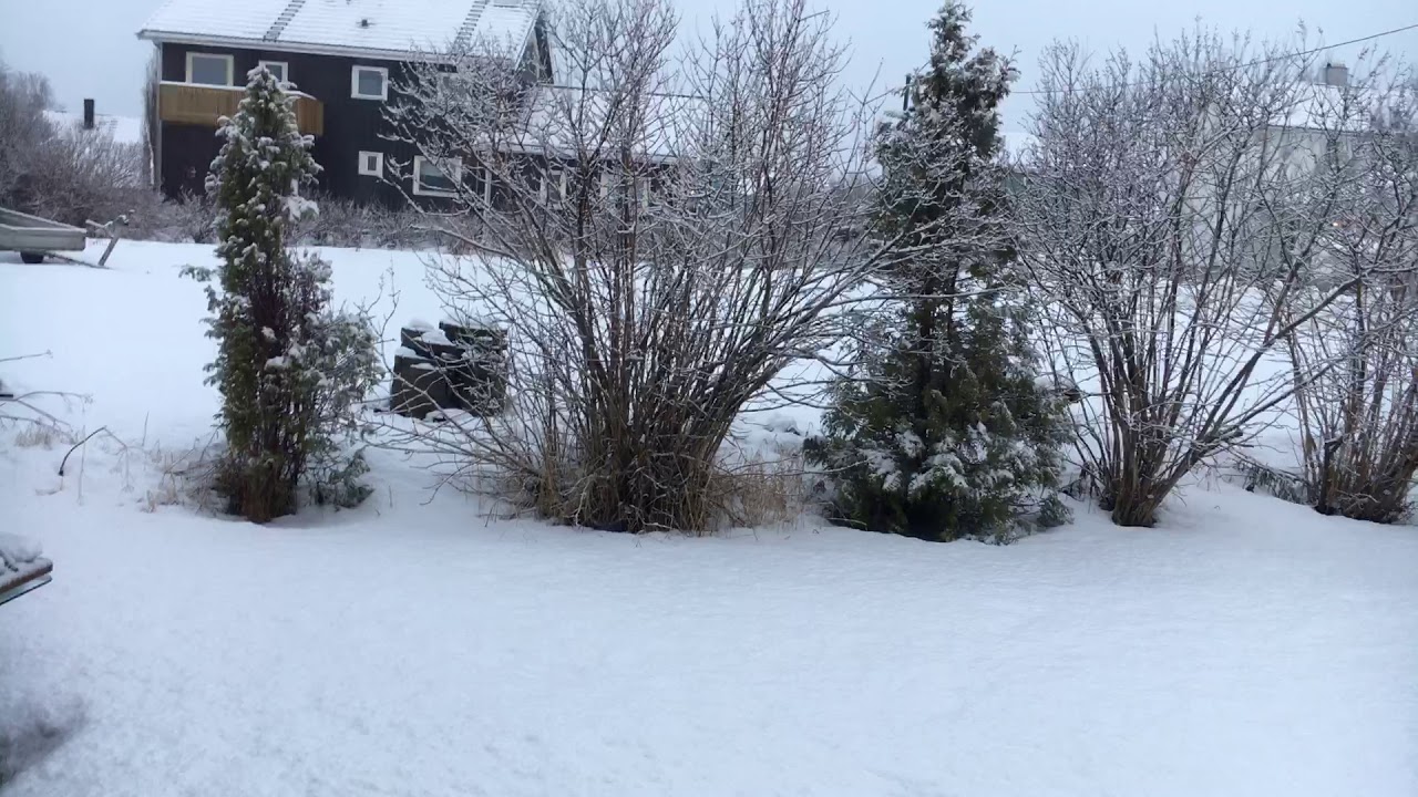 Norway January 12 2020 YouTube norway-january-12-2020-youtube