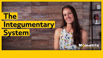 The Integumentary System