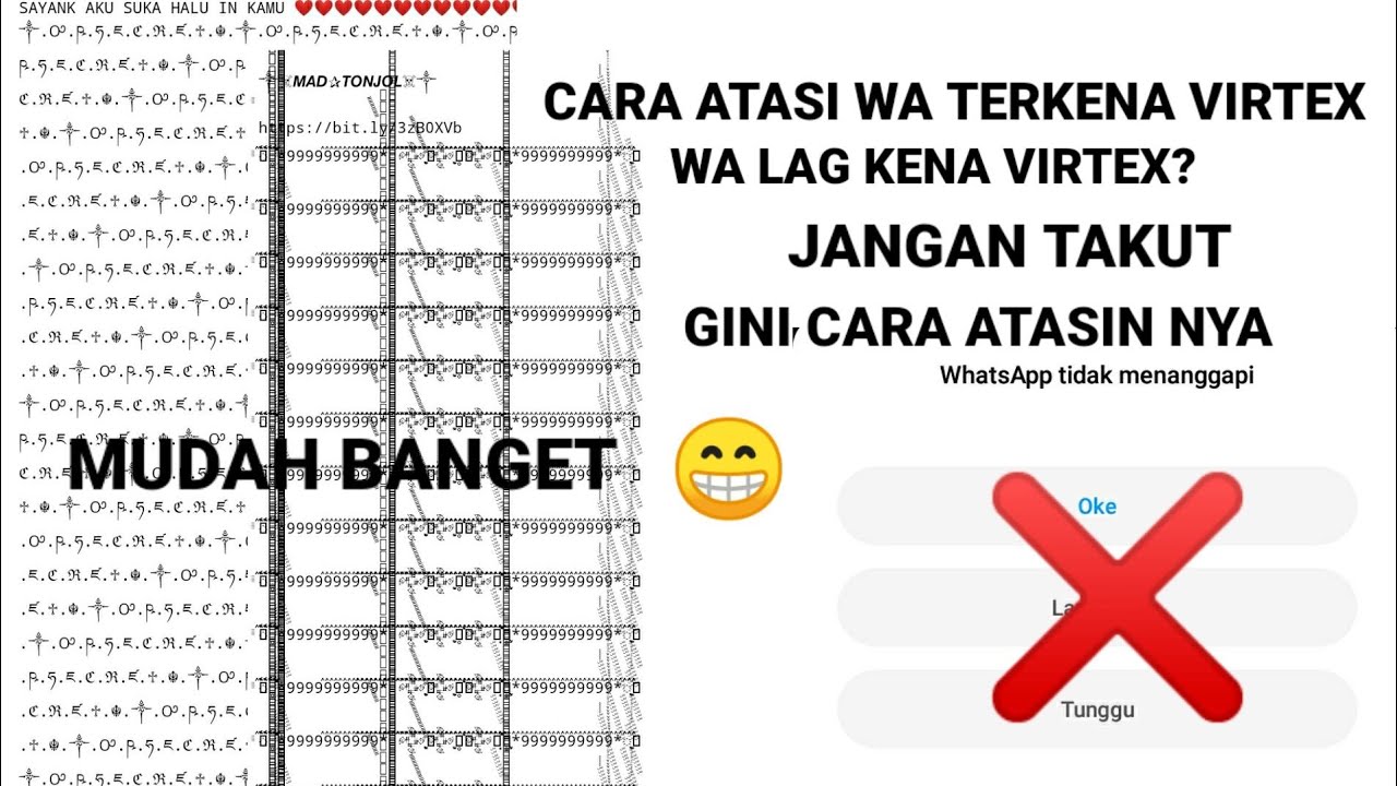 Cara atasi wa original kena virtex mudah banget | jangan panik kalo