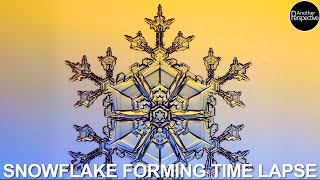 How Do Snowflakes Form?