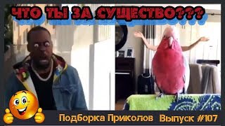 Лучшие приколы 2019 Март | Свежие приколы | ПО ПРИКОЛУ#107😂 | Подборка приколов Лучшие приколы 2019 Март | Свежие приколы | ПО ПРИКОЛУ#107😂 | Подборка приколов