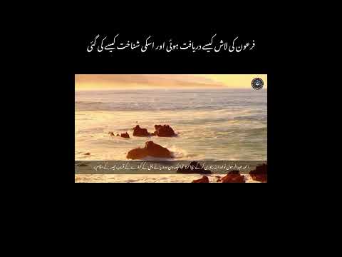 ผลสลากกินแบ่งรัฐบาล วันที่ 1 พย. 2567