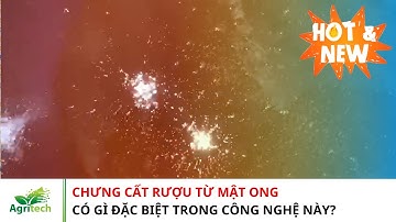 Biến Mật Ong Thành Rượu Cao Cấp Với Tháp Chưng Cất Rượu | 2025