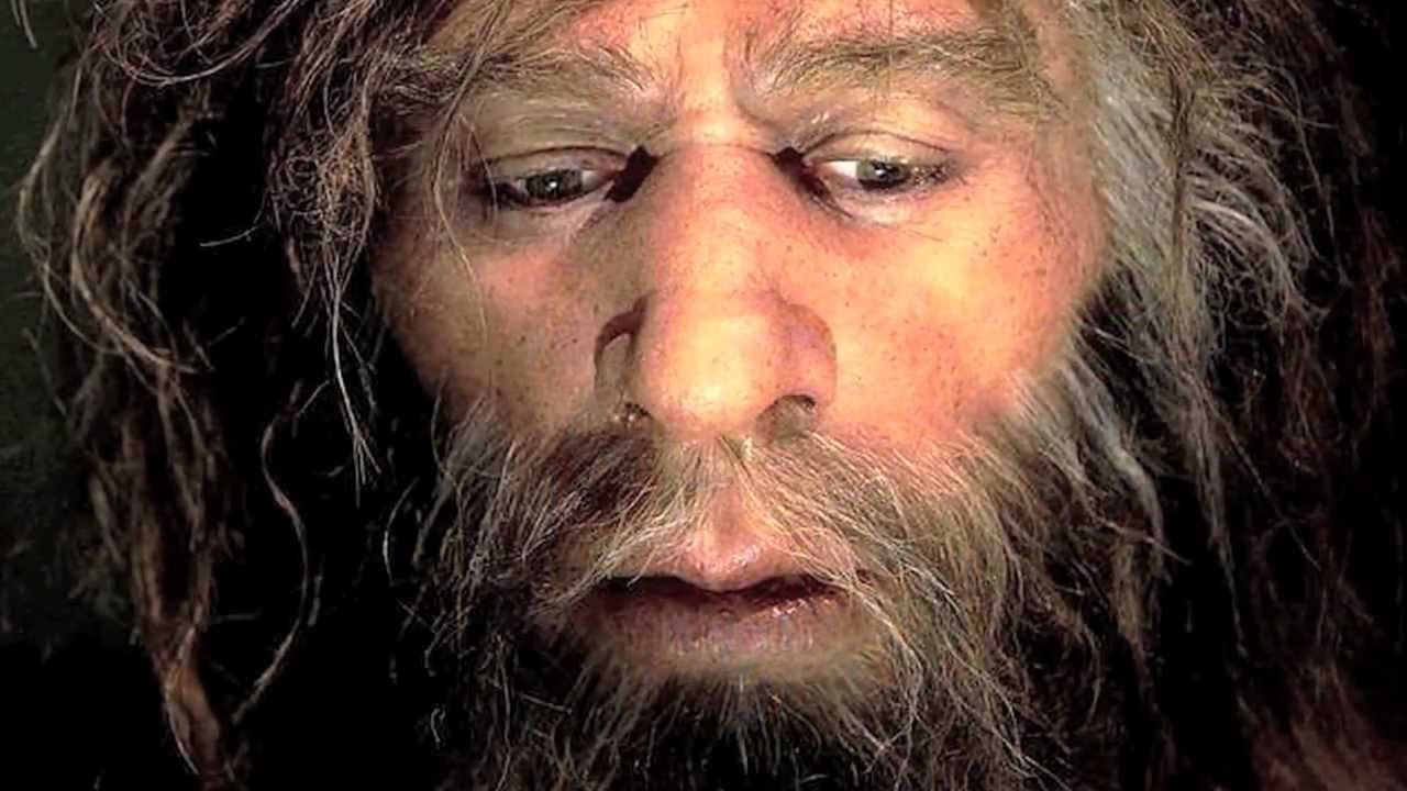 Человек живет 1000 лет. Хомо сапиенс. Неандерталец. Древний человек.