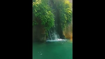القارئ عبد الرحمن مسعد || ما تيسر من سورة النحل