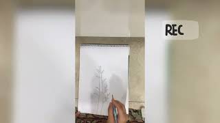 اليوم سأرسم شجرة بدون اوراق