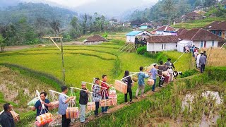 Edyan‼Beginilah Kalau Sultan Kampung Nikah. Jajap Pengantin 1000 Orang Emas 50 Gram Domba Lemari