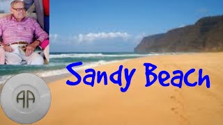 Sandy Beach - Steps 3-7 in Ixtapa Mexico - AA Speaker