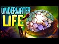 Grounded Is Infested With New Creatures - Underwater Life & Hidden Lab - Grounded