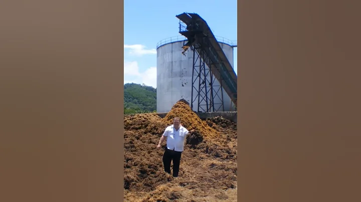 Palm oil mill organic waste management. WORMS turning waste into organic valuable FERTILIZER.