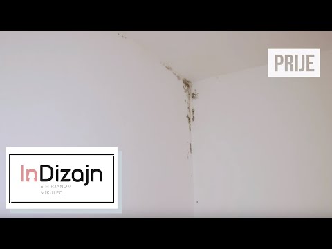 Video: Kako se riješiti žižaka u spavaćoj sobi?