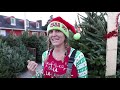 Christmas tree hugger spreads cheer by holding on to holiday tradition