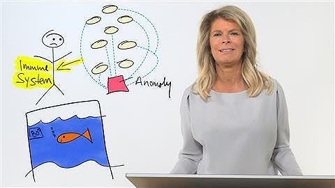 Drawing the Future of Cybersecurity With Nicole Eagan