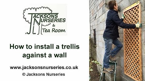How to install a trellis against a wall