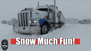 STUCK TRUCKS EVERYWHERE!