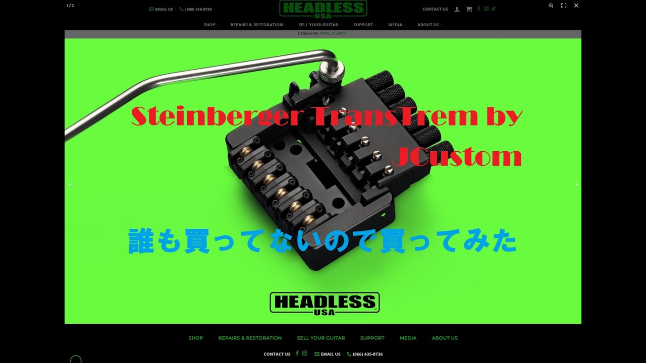 Steinberger TransTrem by JCustom 誰も買ってないので買ってみた