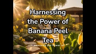 Harnessing the Power of Banana Peel Tea