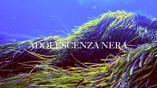 Video thumbnail of "COLAPESCEDIMARTINO - ADOLESCENZA NERA"