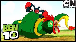 CHICKEN ITZA'DA BİR TAVUK BÖLÜM 1: PİRAMİT KOMPLOSU | Ben 10 Türkçe | Cartoon Network Türkiye