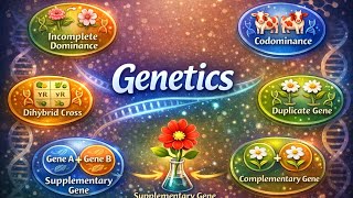 Dihybrid Cross &amp; Non-Allelic Interaction | Complementary, Duplicate &amp; Supplementary Genes