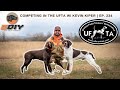 Competing in the ufta w kevin kiper  ep 234