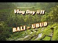 BALI w PIGUŁCE - UBUD i tarasy ryżowe - Vlog Day 11