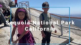 Sequoia National Park with kids