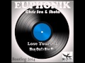Euphonik, Chris Sen & Shota   Lose Yourself Blaq Owl's Afro Mix Bootleg 2014