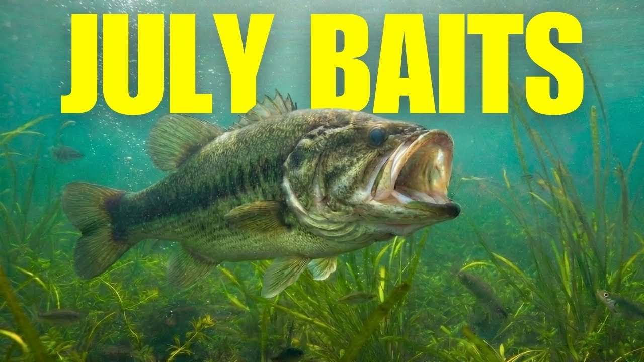 Unique July Baits That ACTUALLY Catch MORE Bass