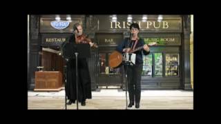 Fiddle & Strum Irish Sampler
