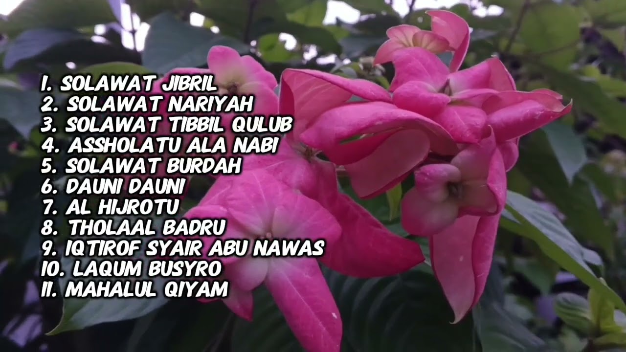 DJ Sholawat Full Album Terbaru 2026, Sholawat Remix Terbaru, Sholawat Nabi, Solawat Merdu 2026