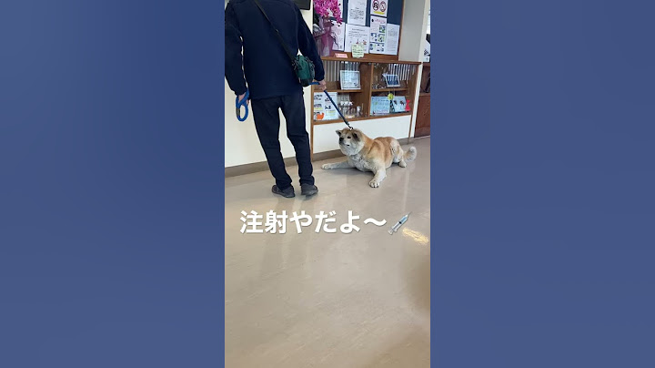 動物病院行ってきたら、何とも可愛い姿が（笑）